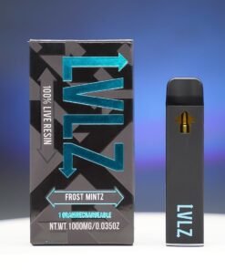 Lvlz Frost Mintz 1G Disposable